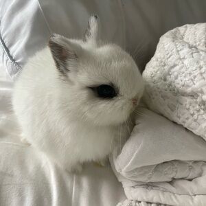 Meet your Posher, Mari